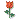 Flor